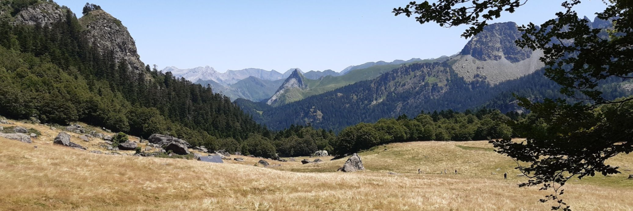 La rentrée...réflexions